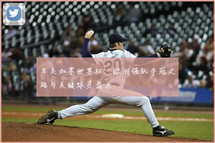年美加墨世界杯：欧洲强队夺冠之路与关键球员盘点