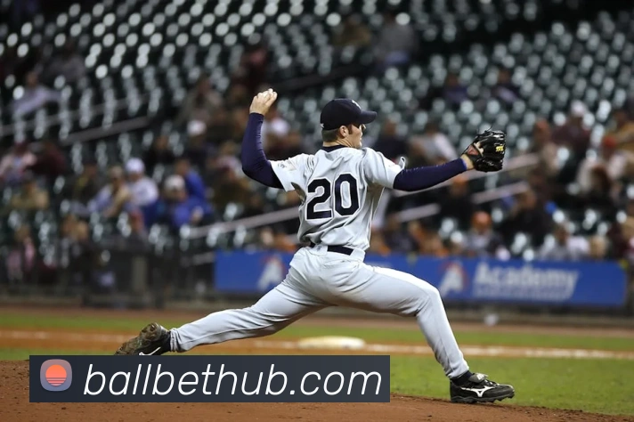 赛事专题整合